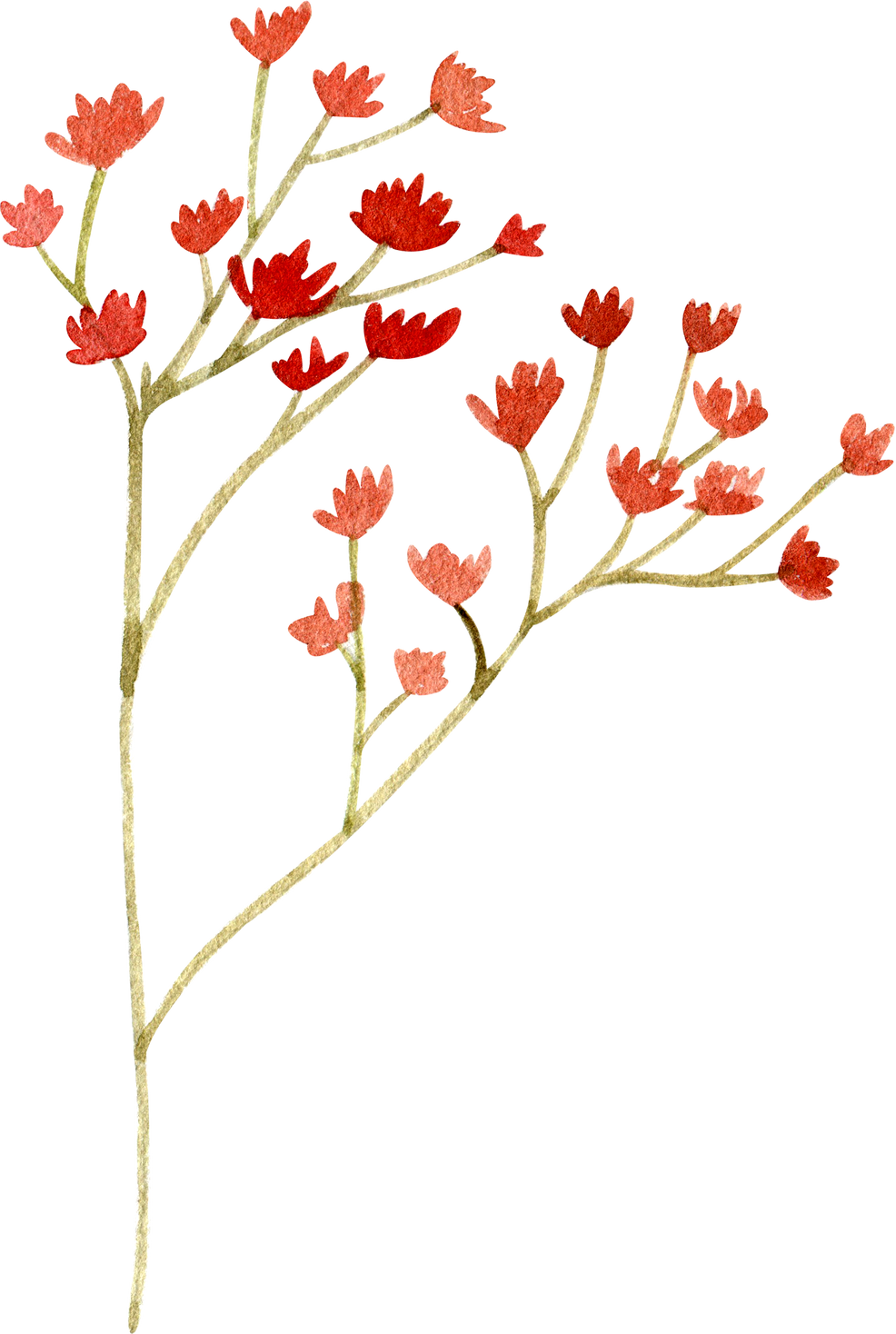 Watercolor branch with red flowers